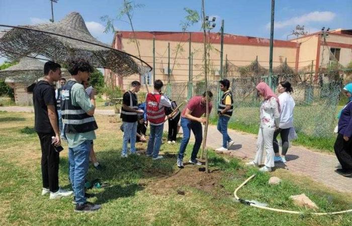 تنظيم يوم بيئي للنظافة العامة وزراعة ١٠٠ شجرة بشاطئ الفيروز بالإسماعيلية