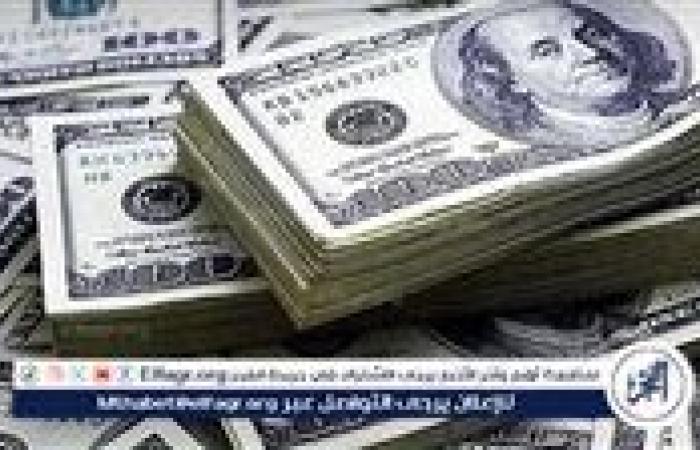 تراجع سعر الدولار مقابل الجنيه المصري وأسبابه