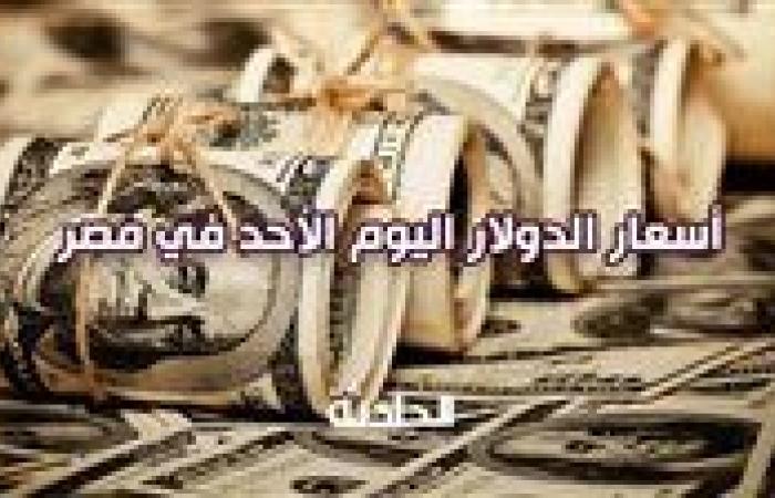 48.55 جنيه للشراء.. تراجع سعر الدولار اليوم الأحد في مصر أمام الجنيه