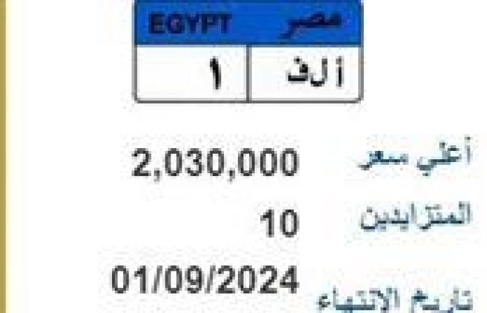 من 300ألف لـ 2 مليون جنيه .. أسعار اللوحات المعدنية المميزة