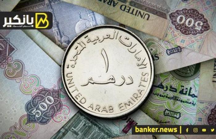 سعر الدرهم الإماراتي أمام الجنيه المصري في تعاملات اليوم الأحد 1-9-2024