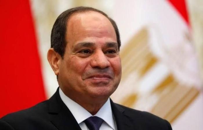 الرئيس السيسي: رأس المال البشري يعد الثروة الحقيقية لمصر