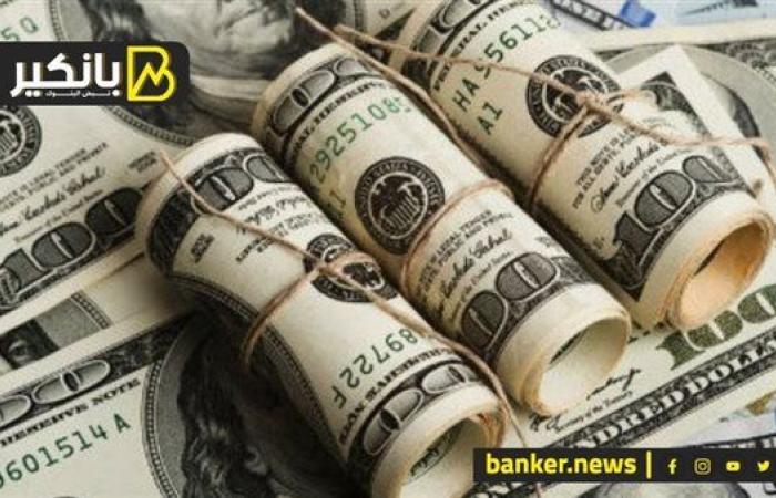 الدولار يخسر أمام الجنيه في البنك المركزي المصري بنهاية تعاملات اليوم