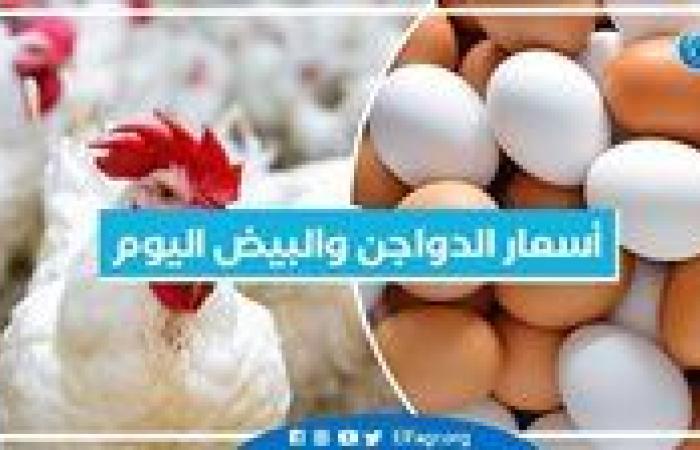 أسعار الدواجن والبيض اليوم الأحد 1-9-2024 في المنيا