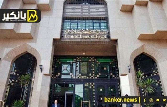 سعر فائدة أدوات دين حكومية يقترب من 30% في طرح أمس الأحد