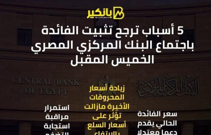 5 أسباب ترجح تثبيت الفائدة باجتماع البنك المركزي المصري الخميس المقبل