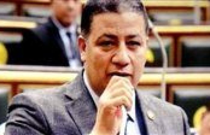 النائب عادل النجار لـ تحيا مصر عن إطلاق منصة مصر الصناعية الرقمية: خطوة جديدة لدعم الاقتصاد الوطني