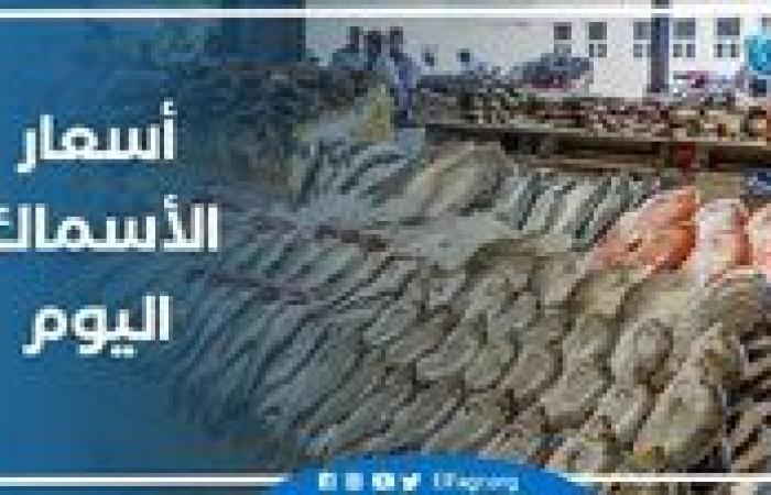 أسعار السمك اليوم الثلاثاء 3-9-2024 في محافظة قنا