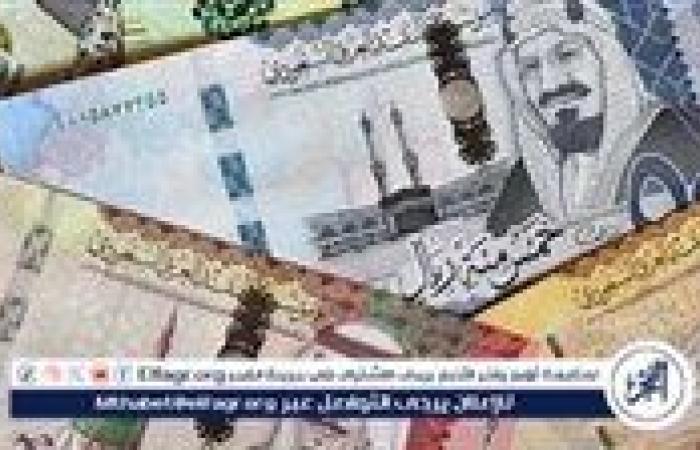 سعر الريال السعودي مقابل الجنيه المصري اليوم الثلاثاء 3 سبتمبر 2024: تحركات جديدة في البنوك المصرية