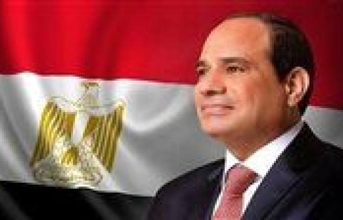 الرئيس السيسي ونظيره التركي يشهدان التوقيع على مذكرة تفاهم في مجال الطاقة والكهرباء