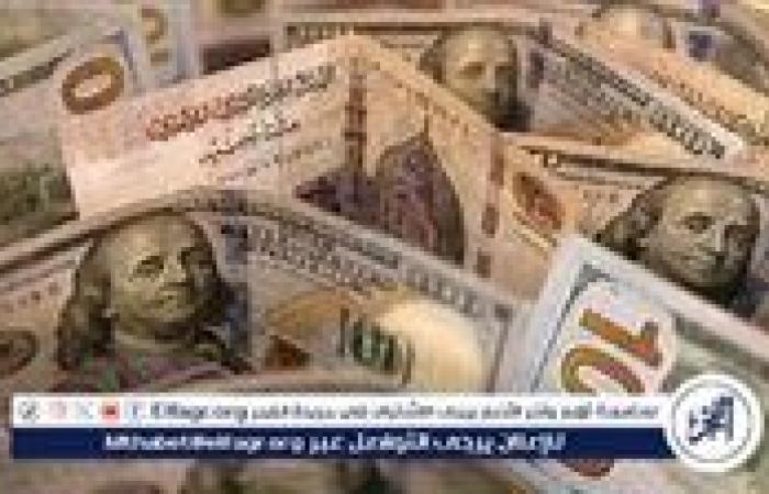 استقرار انخفاض سعر الدولار أمام الجنيه المصري اليوم الأربعاء 4 سبتمبر 2024