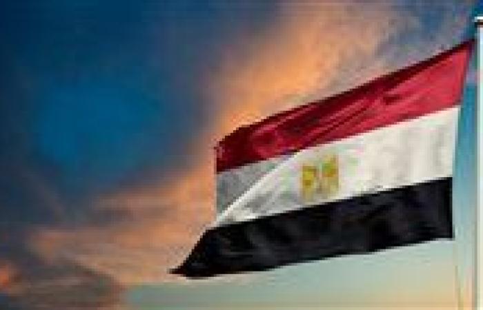 مصر تدين الهجوم الارهابى في ولاية يوبي بشرق نيجيريا