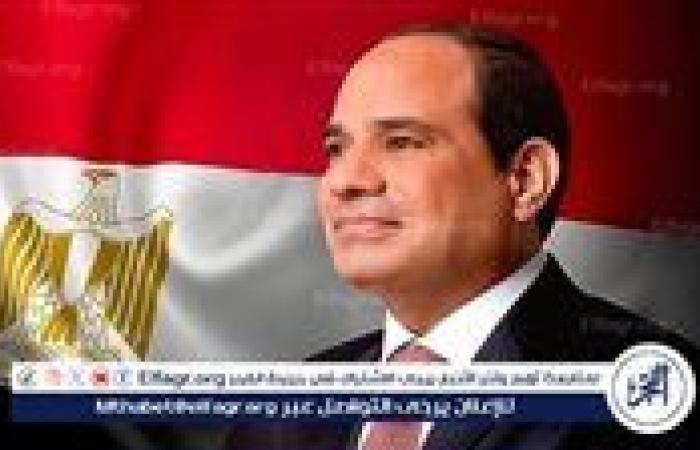 الرئيس السيسي: مصر وتركيا موقفهما المطالبة بالوقف الفوري لإطلاق النار في غزة