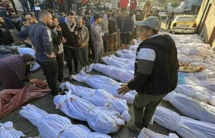 الصحة الفلسطينية: مجزرتان جديدة في غزة ترفعان عدد الشهداء إلى 40878 شهيداً