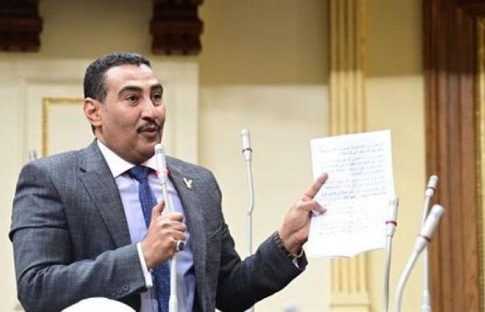 النائب محمد الجبلاوي: الحكومة تولي اهتمام كبير بقطاع الطاقة الجديدة والمتجددة