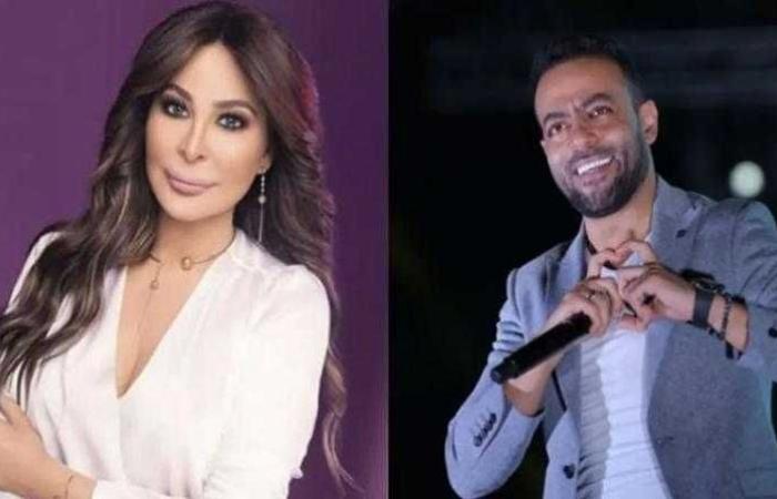 إليسا وتامر عاشور يحييان حفلاً غنائيًا فى دبى