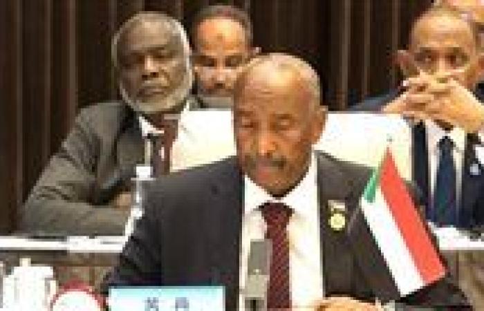 البرهان: السودان يتعرض لمخطط كبير تقف وراءه دول ومنظمات إقليمية