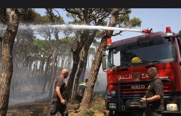 وزير الصحة اللبناني:  الهجوم الإسرائيلي يضرب بعرض الحائط الاعراف الدولية