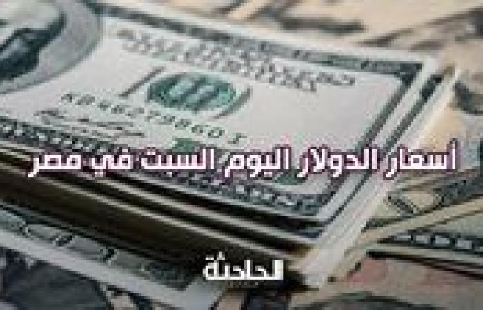 استقرار سعر الدولار اليوم السبت في مصر مقابل الجنيه المصريِ