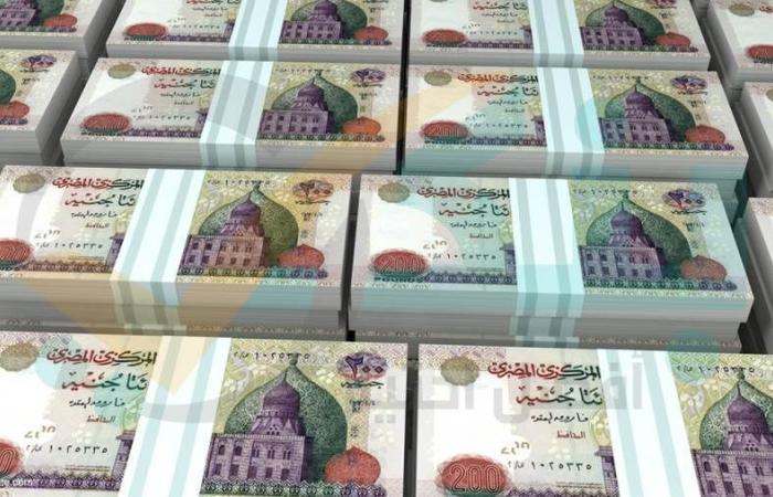 محفظة القروض المباشرة بالبنوك المدرجة بالبورصة ترتفع لـ388.9 مليار جنيه بنهاية يونيو 2024