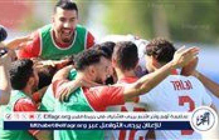 بن رمضان يقود تونس لتجاوز جامبيا في تصفيات أمم إفريقيا.. فيديو