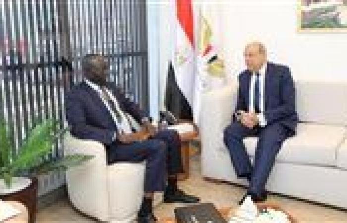 مصر وجنوب السودان تبحثان تدشين خط شحن جوى بين القاهرة وجوبا