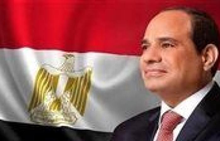 الرئيس السيسي يؤكد أهمية التعاون المشترك والتنسيق المكثف بين مصر والسعودية