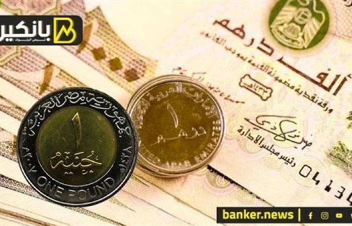 سعر الدرهم الإماراتي أمام الجنيه المصري في تعاملات اليوم الأحد 8-9-2024