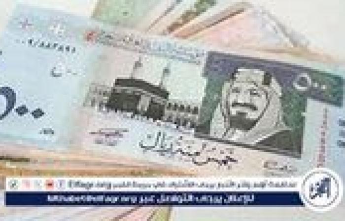 تراجع جديد في سعر الريال السعودي مقابل الجنيه المصري اليوم الاثنين 9 سبتمبر 2024