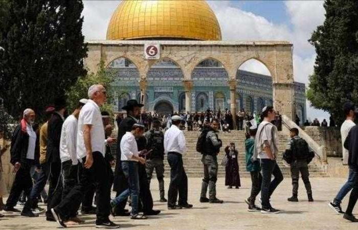 محافظة القدس: حكومة الاحتلال تسعى جاهدة لتقسيم المسجد الأقصى زمانيًا ومكانيًا