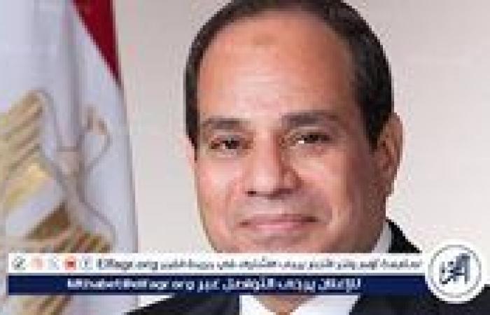 عاجل - الرئيس السيسي يستقبل الممثل الأعلى للاتحاد الأوروبي للشئون الخارجية