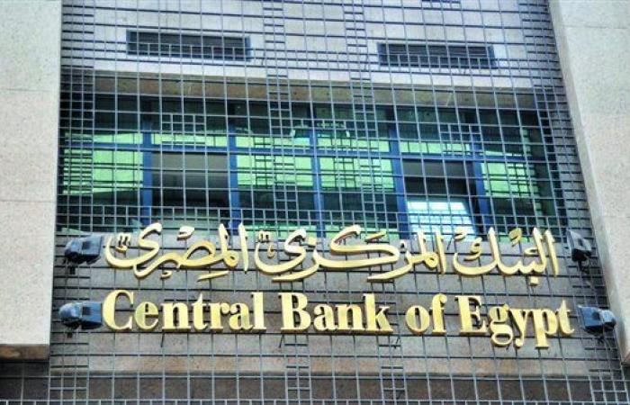 تعليق هام لخبير اقتصادي بشأن إعلان المركزي تصاعد تحويلات المصريين بالخارج