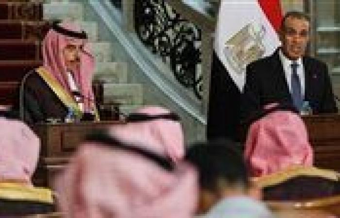 مصر والسعودية تؤكدان ضرورة وقف إطلاق النار في غزة بـ"شكل فوري"