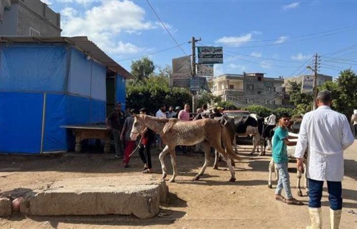 ضمن مبادرة حياة كريمة.. الطب البيطري يتنظم قافلة مجانية في كفر الشيخ