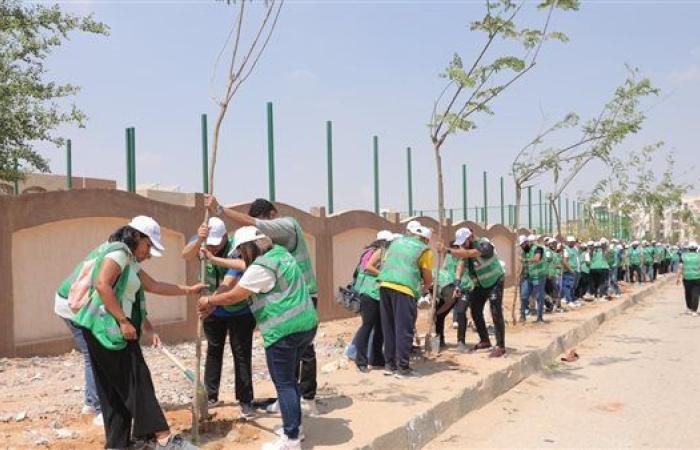 البيئة: تشكيل لجنة من أساتتذة الجامعات لدعم دور الوزارة في ملف التشجير