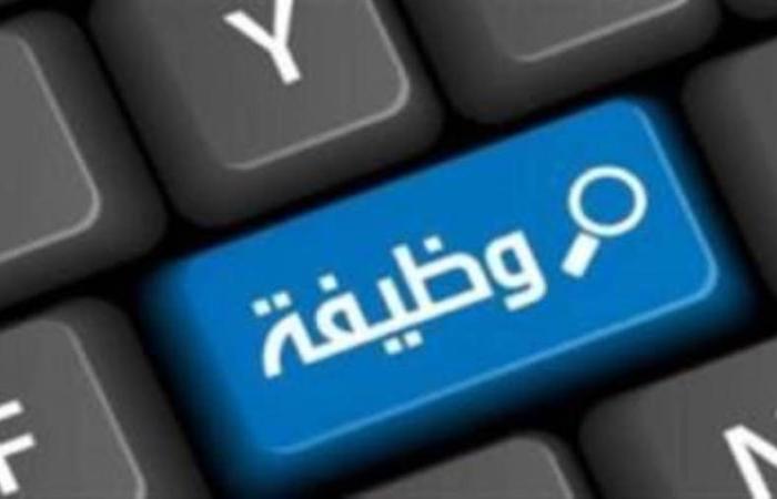 وظيفة خالية في مصرف أبوظبي الإسلامي - مصر «الشروط والتفاصيل»