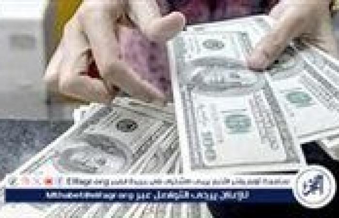 سعر الدولار مقابل الجنيه المصري اليوم الأربعاء 11 سبتمبر 2024