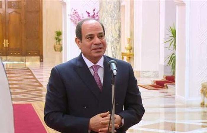 السيسي: زيارة رئيس ألمانيا لمصر تعكس تاريخا ممتدا من التعاون بين البلدين