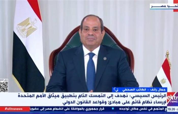 الرئيس السيسي: يجب تعزيز مشاركة الدول النامية في آليات صنع القرار الاقتصادي