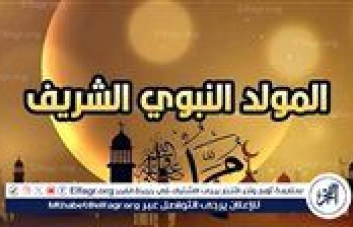 احتفالات المولد النبوي الشريف 2024.. إجازة طويلة واحتفاء بذكرى ميلاد النبي