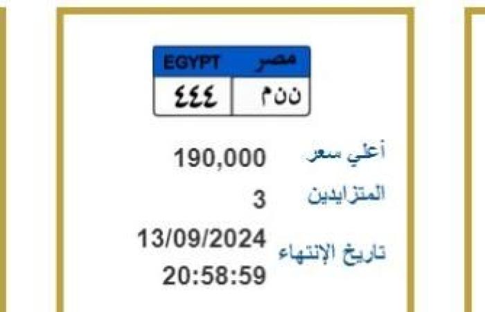 سيف بسعر ربع مليون جنيه .. الداخلية تطرح لوحات معدنية مميزة تدخل المنافسة