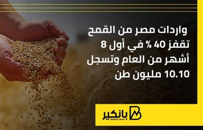 واردات مصر من القمح تقفز 40% في أول 8 أشهر من العام وتسجل 10.10 مليون طن