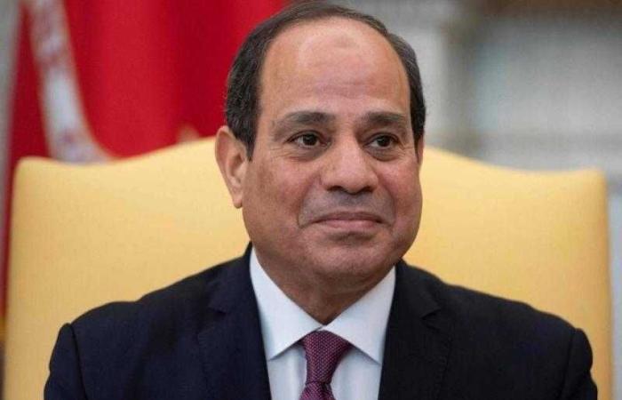 الرئيس السيسي: يجب تضافر الجهود الدولية لإرساء نظام قائم على القانون دون تمييز