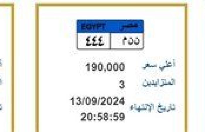 سيف بسعر ربع مليون جنيه.. لوحات معدنية مميزة تدخل المنافسة