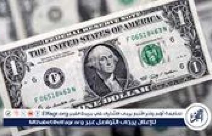 استقرار سعر الدولار في البنوك المصرية اليوم 13-9-2024