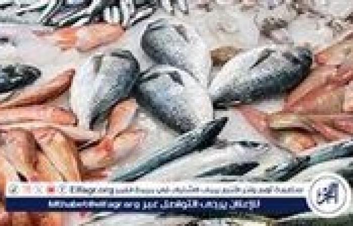 أسعار السمك البلطي والبوري اليوم الجمعة 13-9-2024 في محافظة قنا