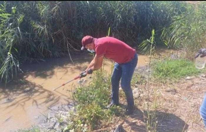 لبنان.. العثور على جرثومة الكوليرا في مياه نهر الليطاني