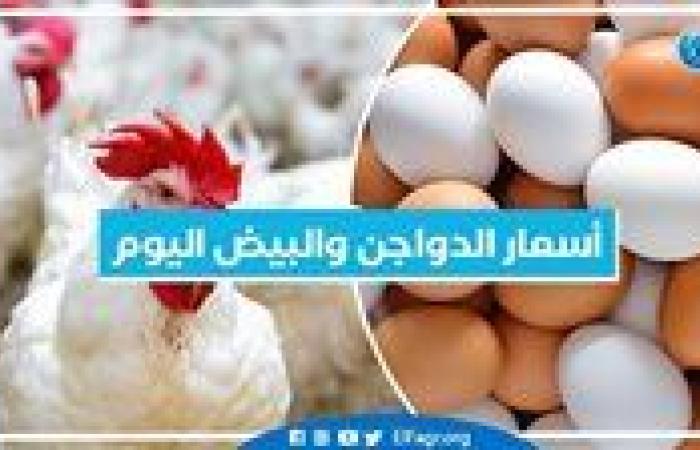 أسعار الدواجن والبيض اليوم السبت 14-9-2024 بمحافظة البحيرة