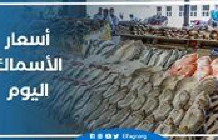 أسعار الأسماك اليوم السبت 14-9-2024 في محافظة البحيرة