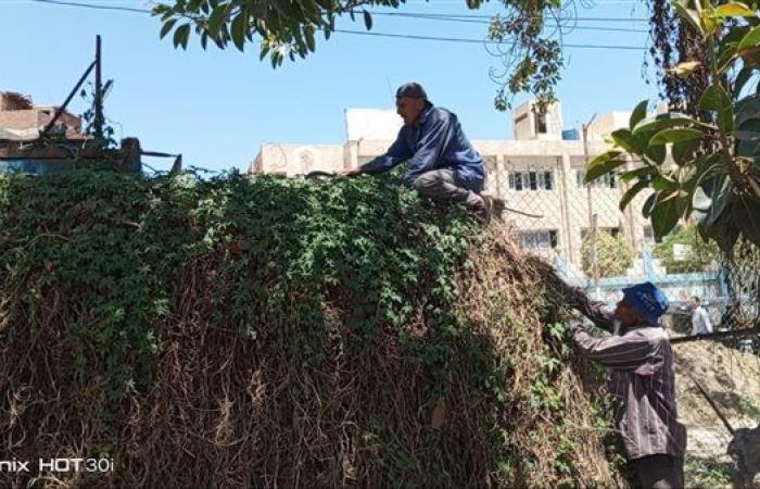 متابعة أعمال التطوير الجارية بحديقة الأسرة بمدينة بلقاس